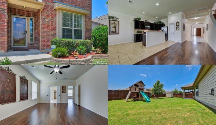 Schertz Pencil Cholla Collage