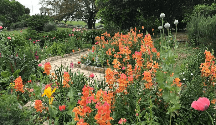 Smell the roses (and sip mimosas) at the Botanical Garden | Central San Antonio