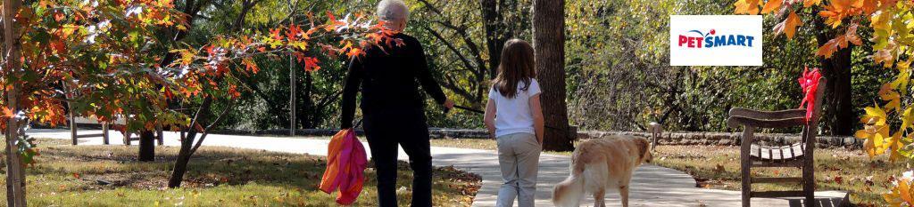 Enjoy a Day with Your Dog