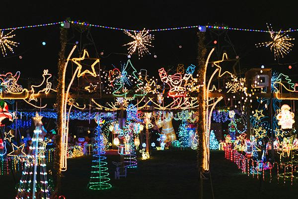 Christmas Light Fest